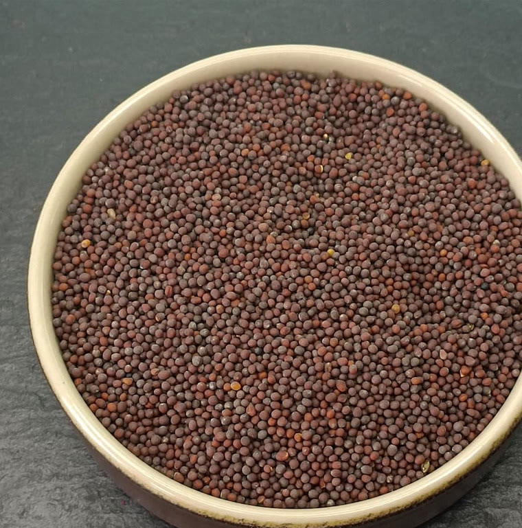 Moutarde brune graines
